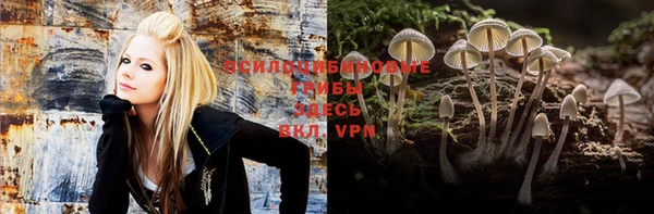 скорость mdpv Белокуриха